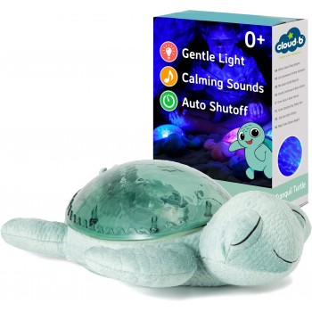 Tranquil  Turtle  Green  -...