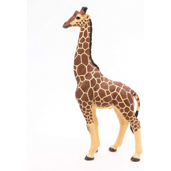 Giraffa Maschio - Papo