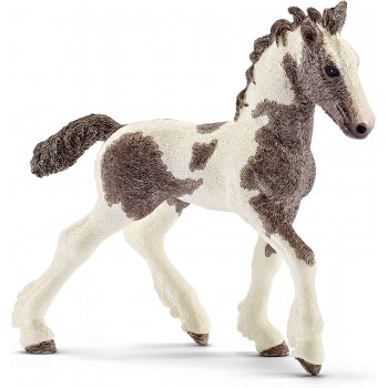 Puledro  Tinker  -  Schleich