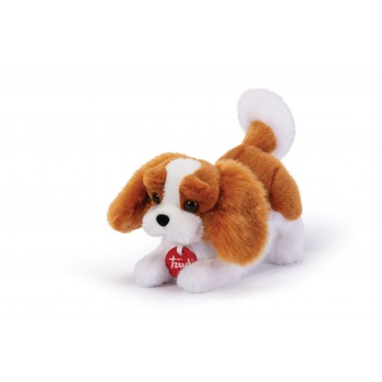 Peluche  Cavalier  King...