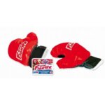 Sacco Box con Guantoni - Ronchi