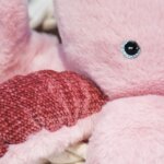 Piovra Rosa - Histoire d Ours