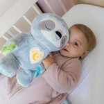 Dormiglione Dolce Nanna - Vtech
