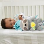 Dormiglione Dolce Nanna - Vtech