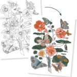 Colouring gallery Naturalistici - Djeco