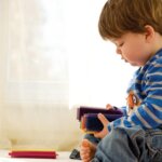 Costruzioni a Pettine Bristle Blocks - B Toys
