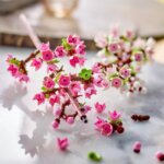 40725 Fiori di Ciliegio - Lego