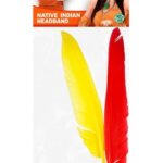 Fascia Indiano con 2 Piume - Widmann