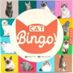 Bingo Gatti - Kikkerland