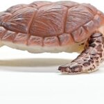 Tartaruga Embricata- Schleich