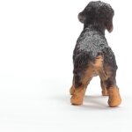 Bassotto a Pelo Ruvido - Schleich