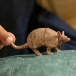 Armadillo - Schleich
