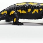 Salamandra Pezzata - Schleich