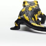 Salamandra Pezzata - Schleich