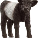 Vitello Galloway - Schleich