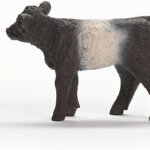 Vitello Galloway - Schleich