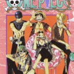 One Piece Eiichiro Oda Ed 11 - Star Comics