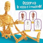 Scopri il Corpo Umano Pocket - Lisciani