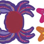 Crea Animali Marini in 3D - Janod