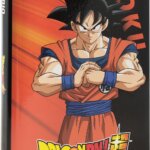 Diario Standard Dragon Ball Orange N.D. - Panini