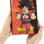 Diario Standard Dragon Ball Orange N.D. - Panini