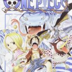 One Piece New Edition 29 - Star Comics