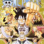 One Piece Eiichiro Oda 45 - Star Comics
