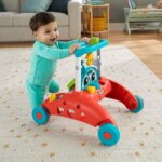 Primi Passi al Volante - Fisher Price