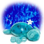 Tranquil Turtle Aqua - Cloud B