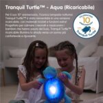 Tranquil Turtle Aqua - Cloud B