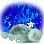 Tranquil Turtle Verde - Cloud B