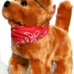 Cagnolino Camminante - ODG