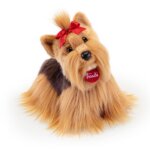 Yorkshire Willy - Trudi