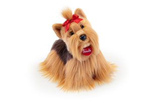 Yorkshire Willy - Trudi