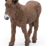 Poitou Asino - Papo