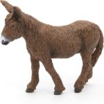 Poitou Asino - Papo
