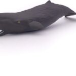 Cucciolo di Capodoglio - Papo