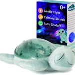 Tranquil Turtle Green - Cloud B