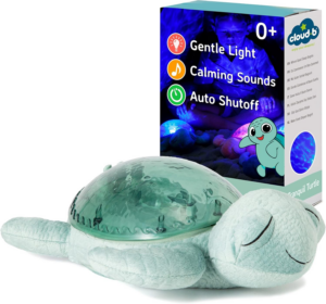Tranquil Turtle Green - Cloud B