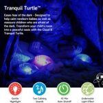 Tranquil Turtle Green - Cloud B