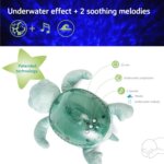 Tranquil Turtle Green - Cloud B