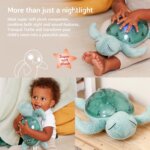 Tranquil Turtle Green - Cloud B