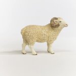 Montone - Schleich