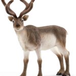 Renna - Schleich