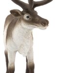 Renna - Schleich