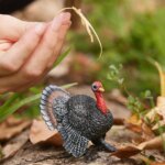 Tacchino - Schleich