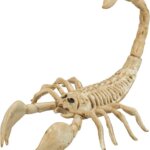 Scheletro Scorpione 30 cm - Widmann