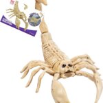 Scheletro Scorpione 30 cm - Widmann