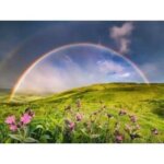 1500 pz Arcobaleno- Ravensburger