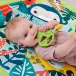 Palestrina Amici della Foresta - Fisher Price
